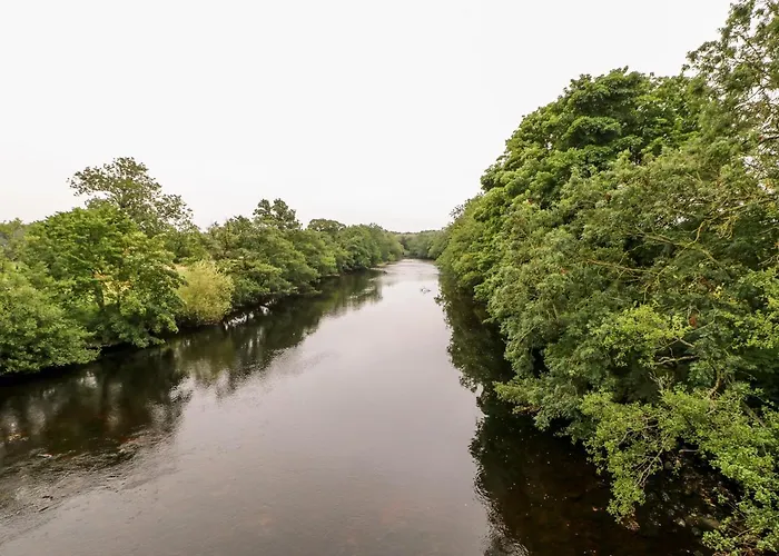 Gromit Holiday home Ripon